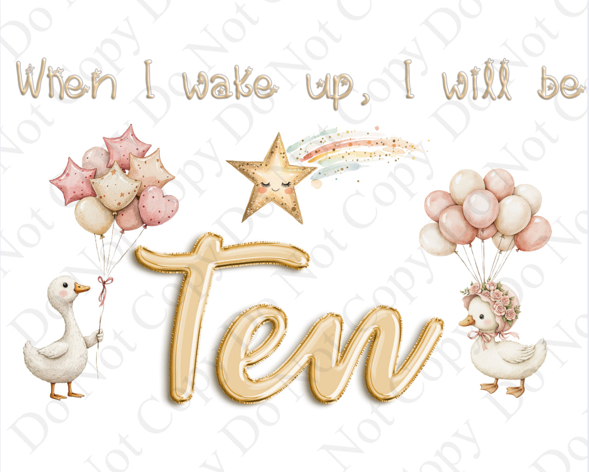 DTF Fabric When I Wake - Goose 1-10