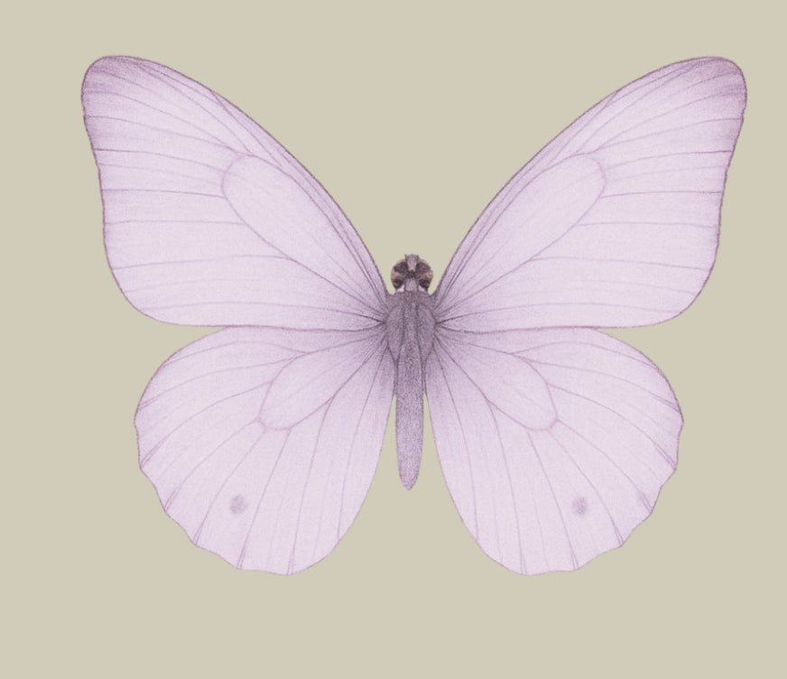 UV - Butterfly- In Loving Memory