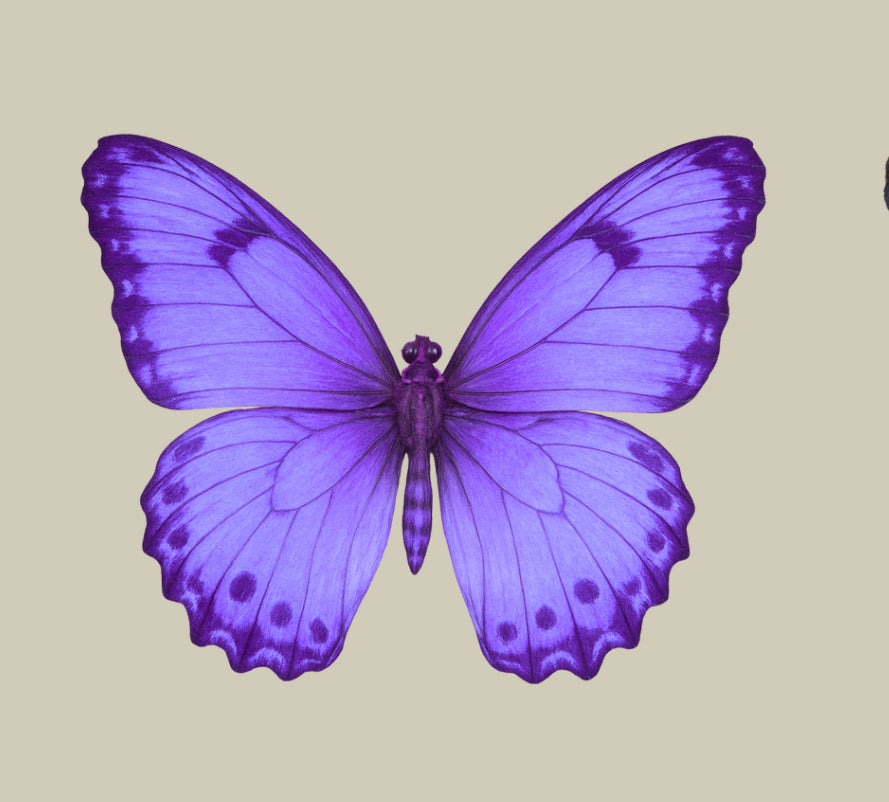 UV - Butterfly- In Loving Memory