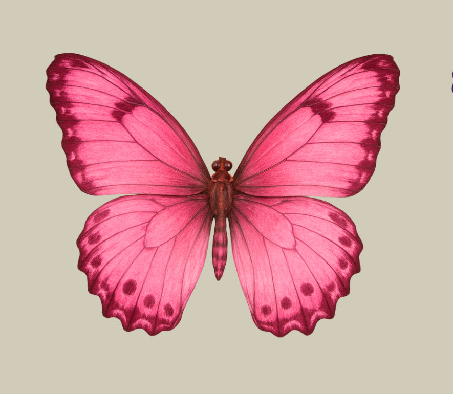 UV - Butterfly- In Loving Memory