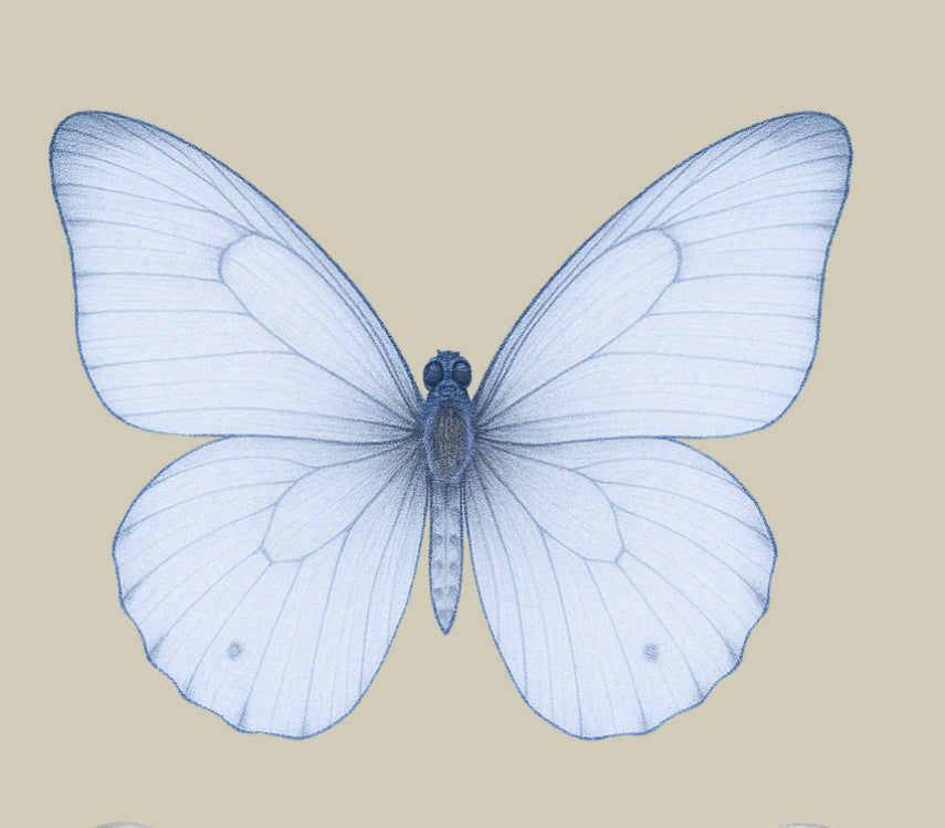 UV - Butterfly- In Loving Memory