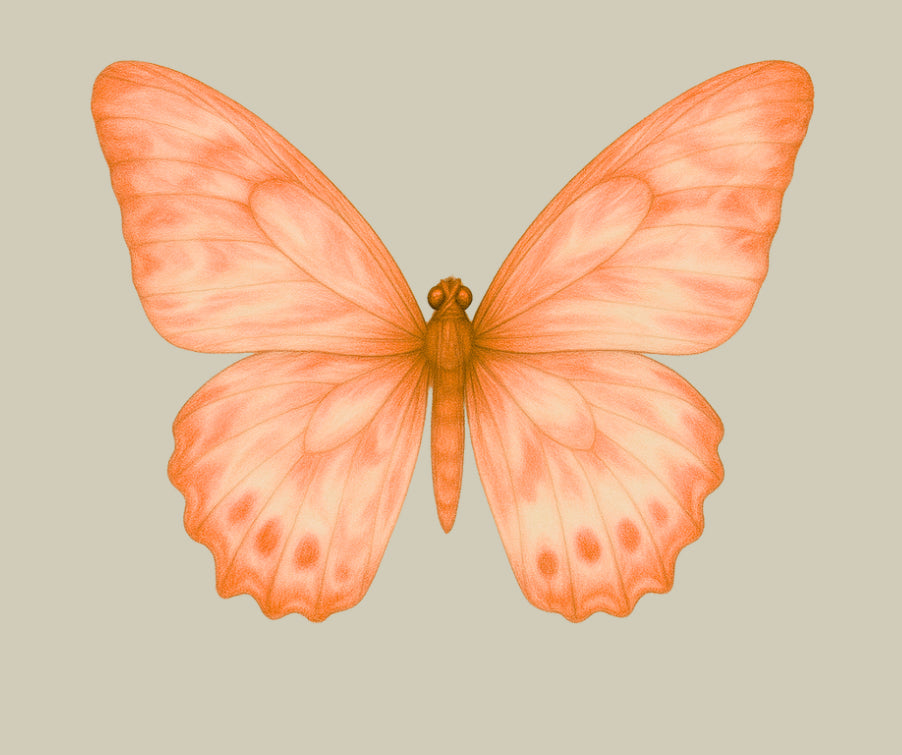 UV - Butterfly- In Loving Memory