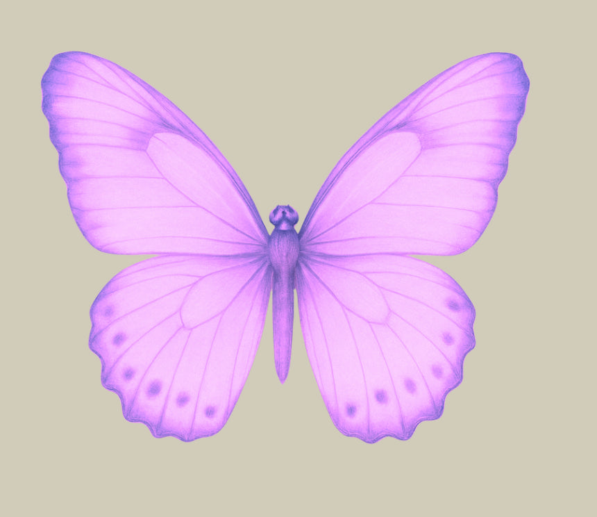 UV - Butterfly- In Loving Memory