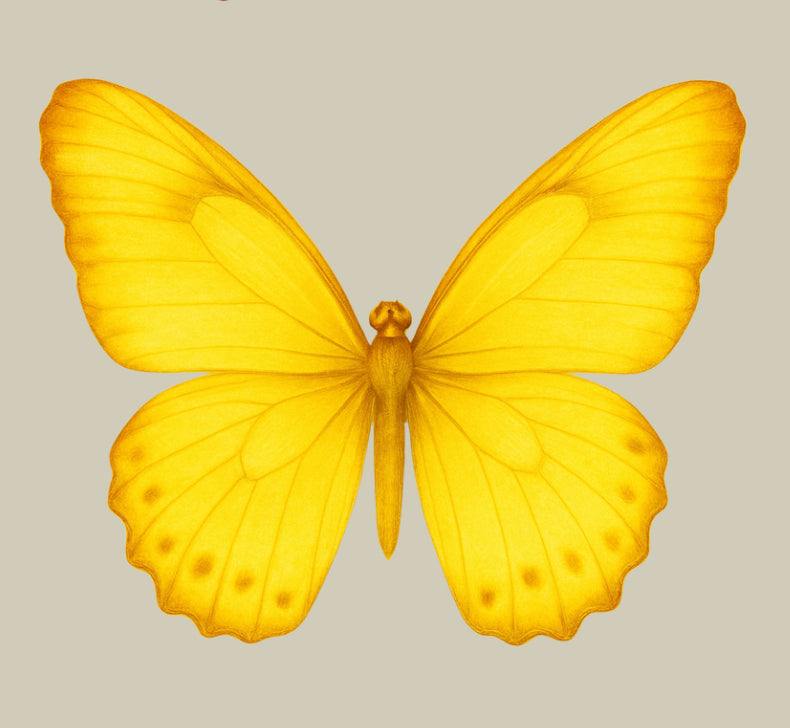 UV - Butterfly- In Loving Memory