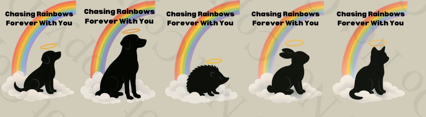 UV -  Chasing Rainbows Forever With You