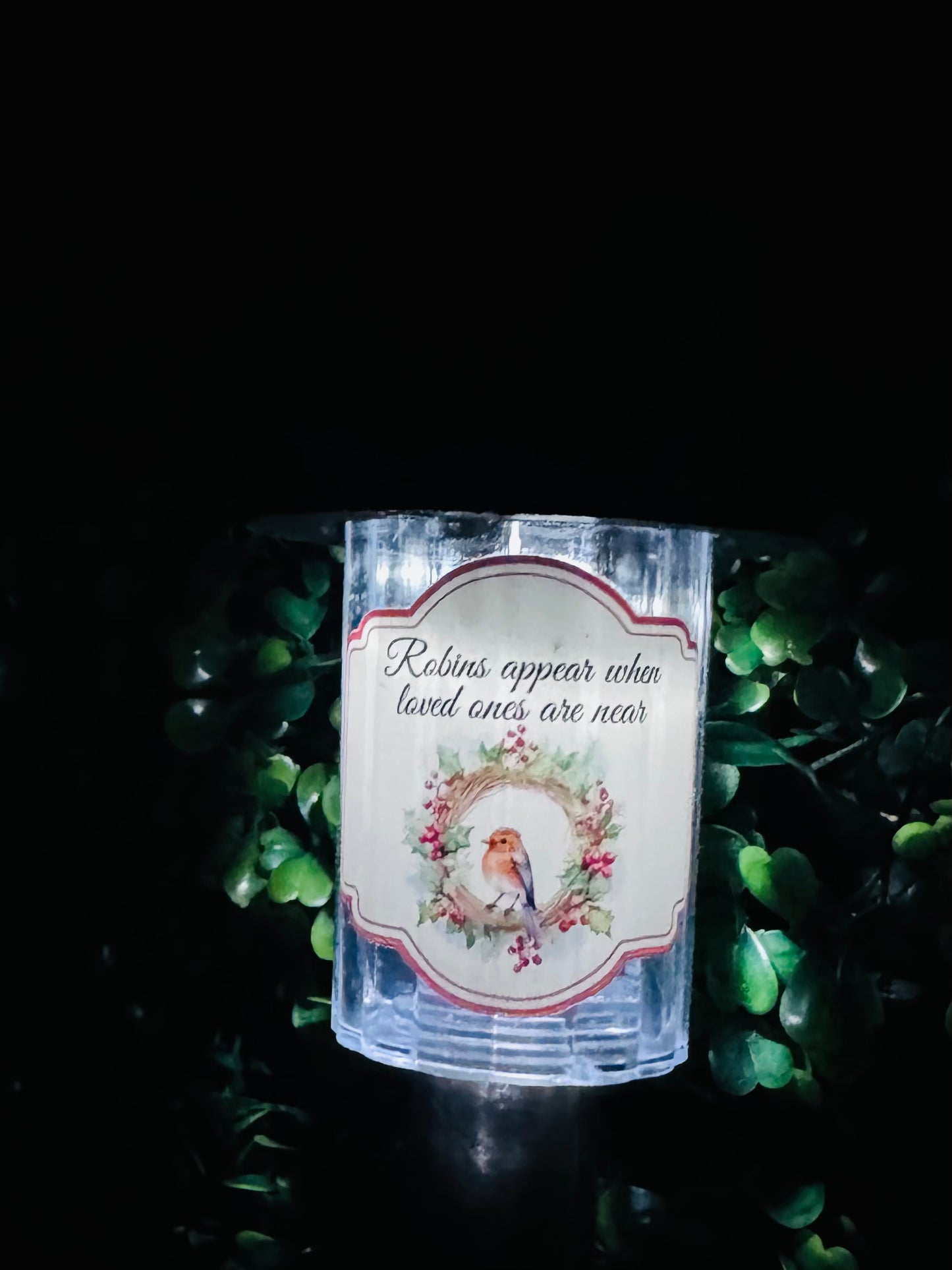 UV Robins Appear - Including Solar  Light Size