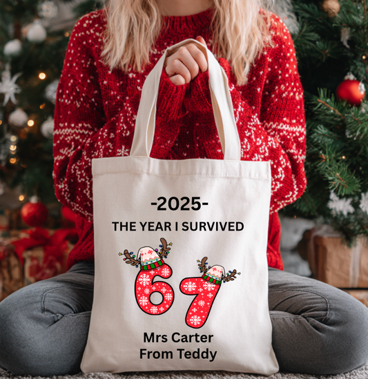 DTF Fabric - The year I survived 6 7 (Six Seven)