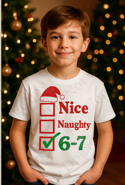 DTF Fabric -Nice Naughty 6 7 (Six Seven)